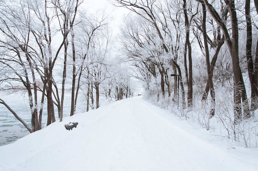 Winter Snow